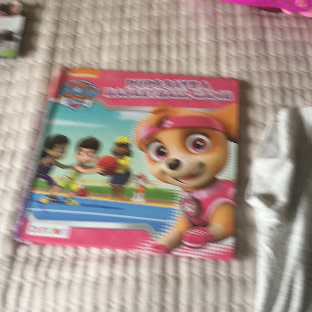 Paw patrol book